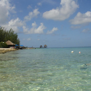 DSC00607