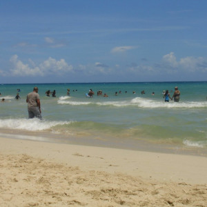 DSC00867