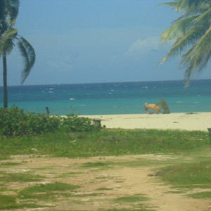 DSC00918