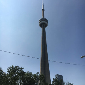 IMG_1939