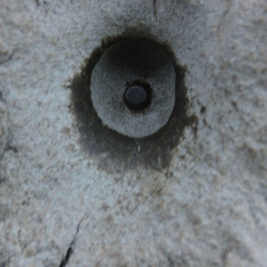 DSCN9353