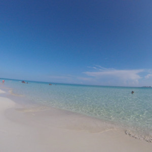 GOPR8272
