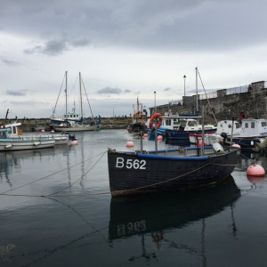Glencloy 1