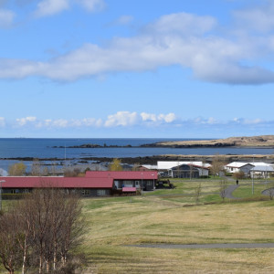 DSC_1777