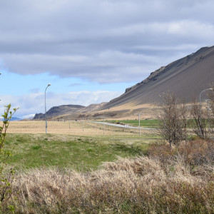 DSC_1779