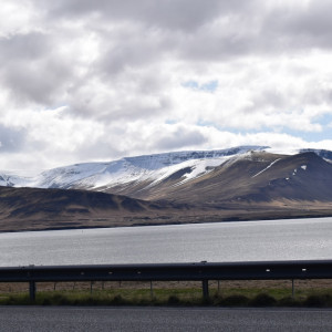 DSC_1786