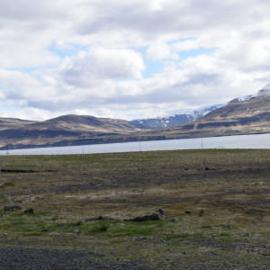 DSC_1789