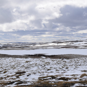 DSC_1837