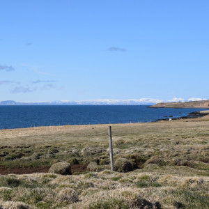 DSC_1855