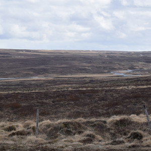 DSC_1876