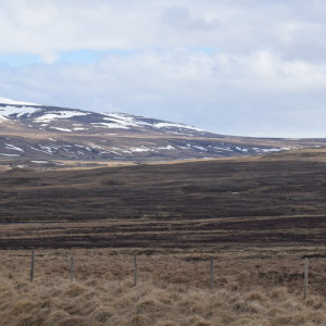 DSC_1877