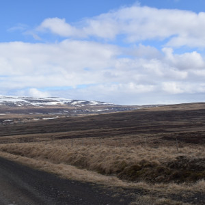 DSC_1878