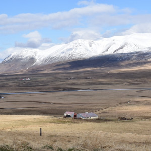 DSC_1886