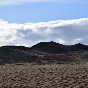 DSC_1904