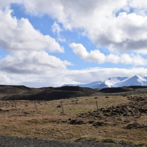 DSC_1906