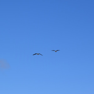 DSC_1922