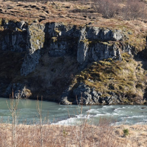 DSC_1931