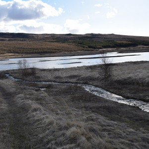 DSC_1947