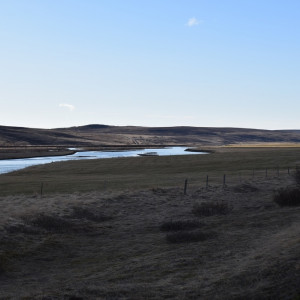 DSC_1949