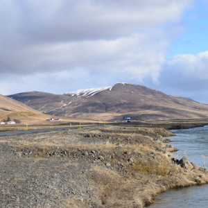 DSC_1959