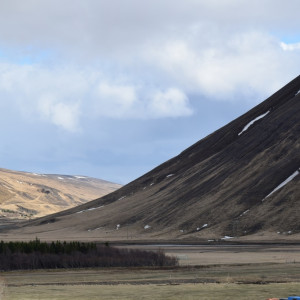 DSC_1961