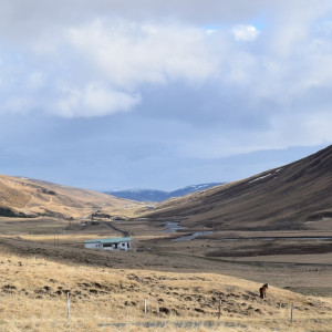 DSC_1964