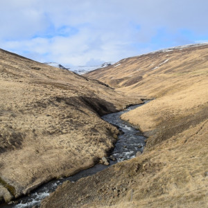 DSC_1965