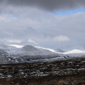 DSC_1973