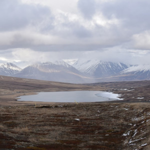 DSC_1974