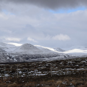DSC_1976