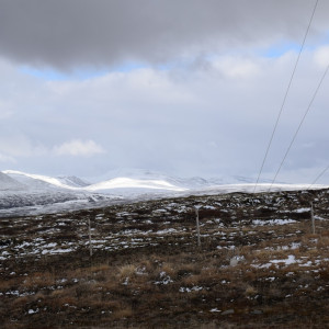 DSC_1981