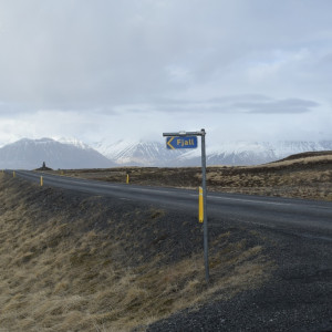 DSC_1982