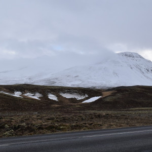 DSC_1983