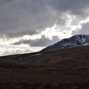 DSC_1984