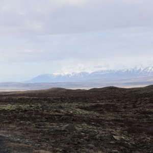 DSC_1986