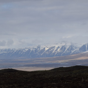 DSC_2000