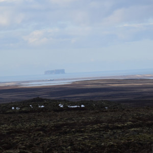 DSC_2010