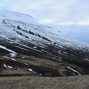 DSC_2076