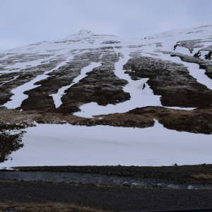 DSC_2082
