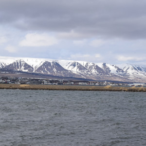 DSC_2098