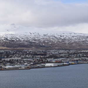 DSC_2110