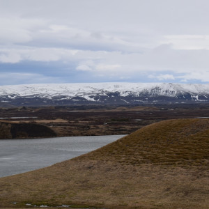 DSC_2261
