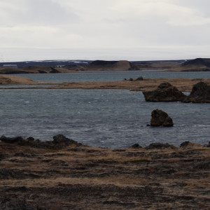 DSC_2276