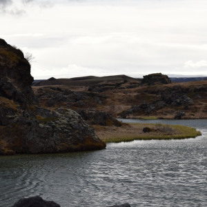 DSC_2284
