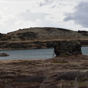 DSC_2286