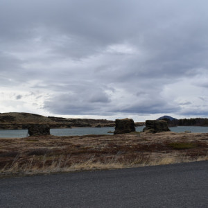 DSC_2288