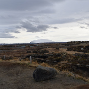 DSC_2290