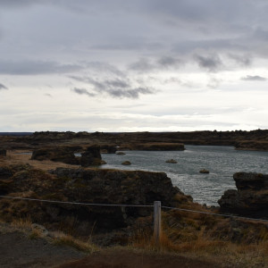 DSC_2291