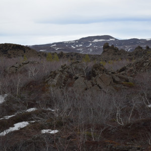 DSC_2368