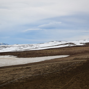 DSC_2605